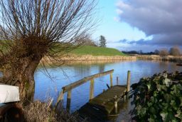 Teich im Hafen