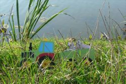Der Traktor ist mit den Schafen im Anhänger am See unterwegs