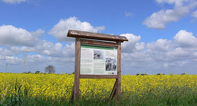 kulturgeschichtlicher Wanderweg Neuendeich